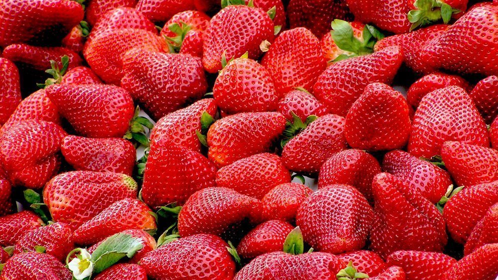 erdbeeren bei diabetes